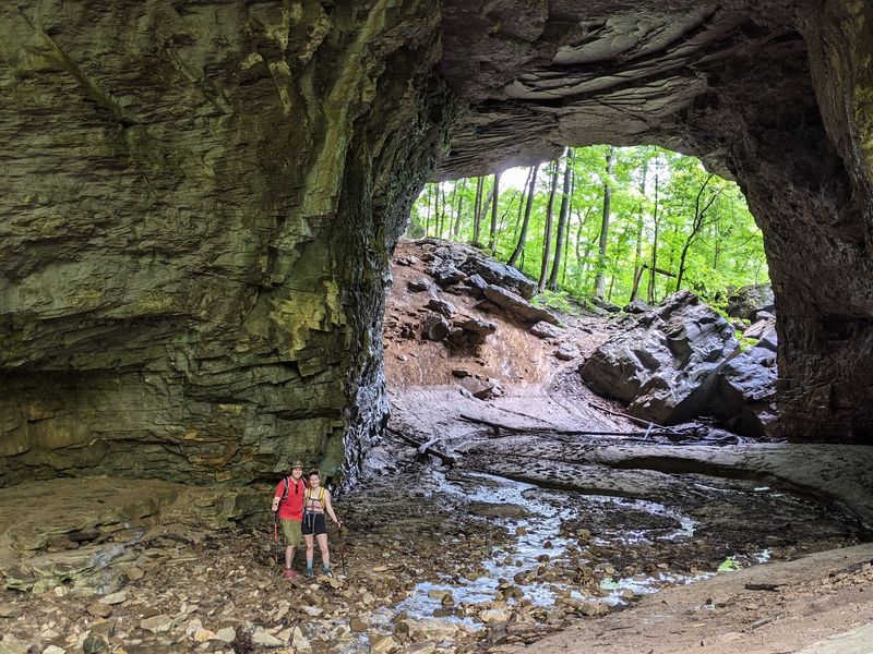 Kentucky's Biggest Natural Bridge Lives Here