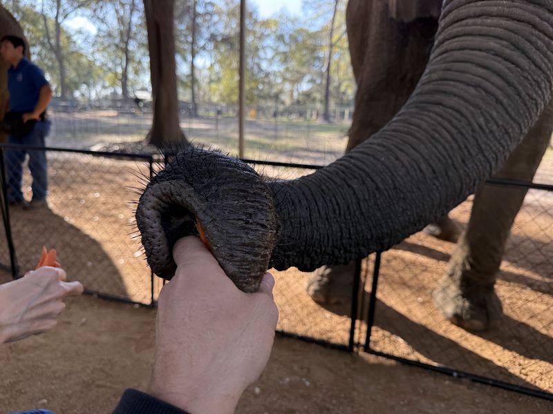 Jeanie Lives For Snack Time, And Honestly, Same