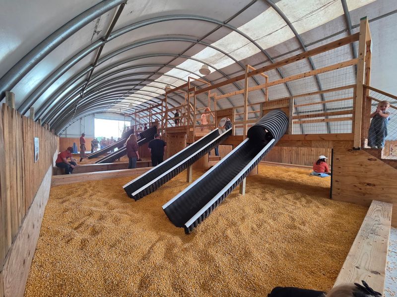 Breezy Hill Farm, Benton, IL