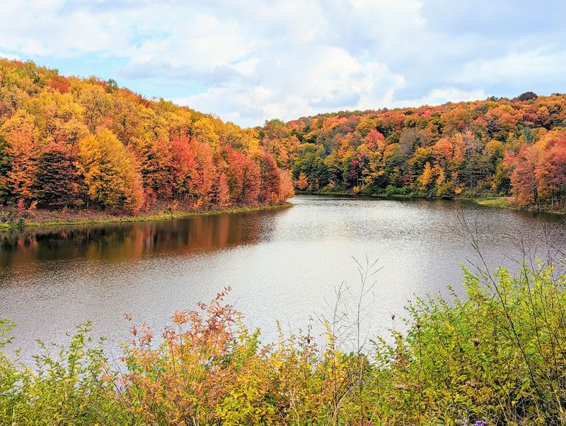 Ellicottville Fall Festival