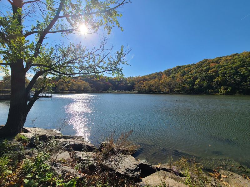 Fall Colors Turn The Hillsides Into A Golden Show