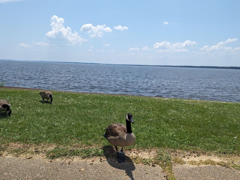 Old Trace Park, Ridgeland, MS