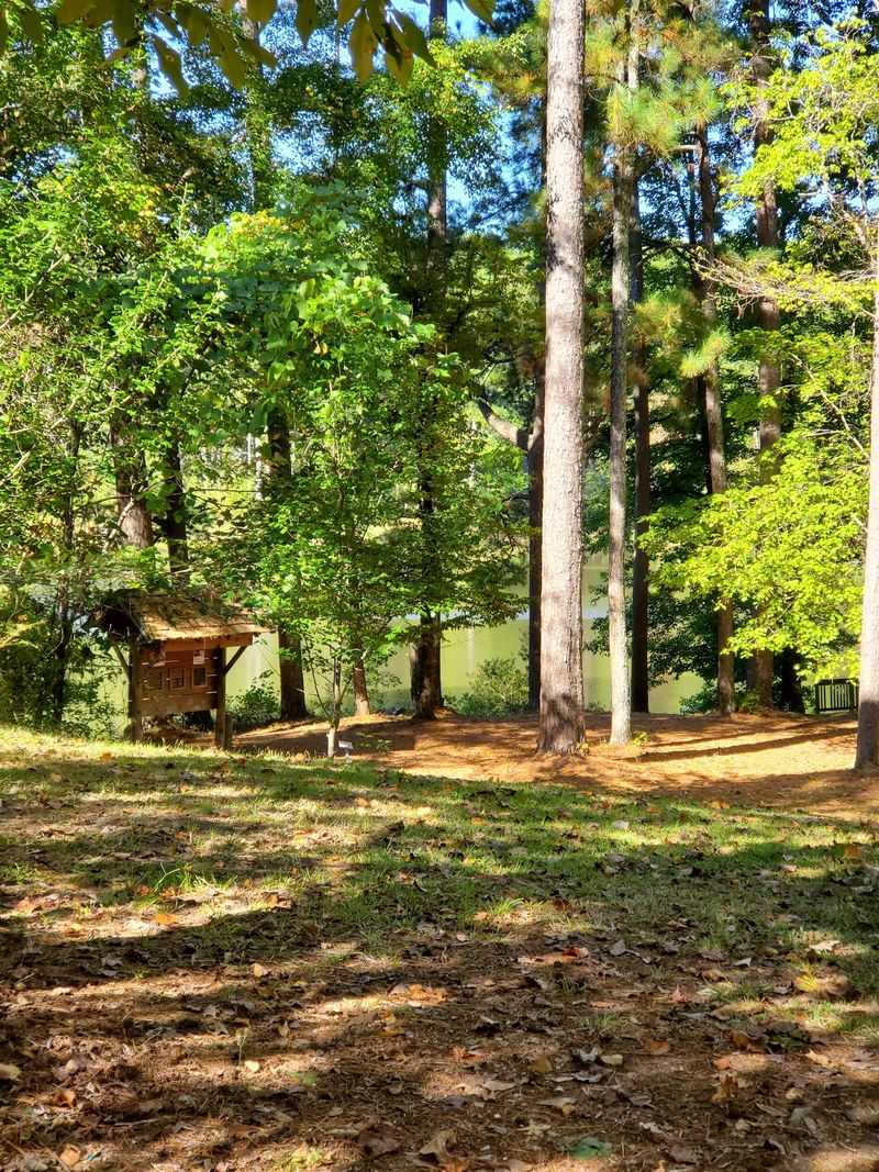 Picnic Shelters and Playground