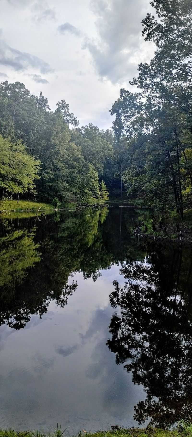 Lake Palila