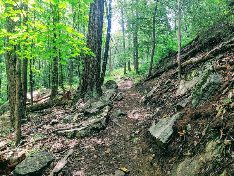 Wild Hideaways Of Sterling Forest State Park
