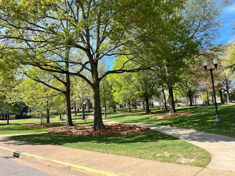 The Grove, University, MS