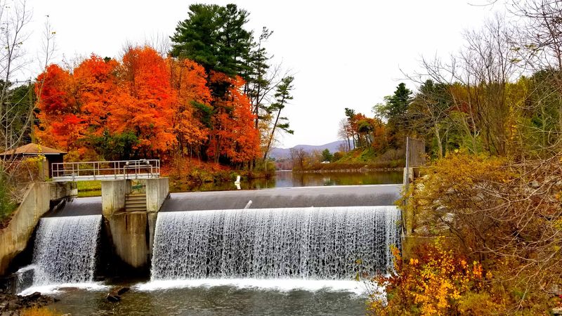Pittsfield