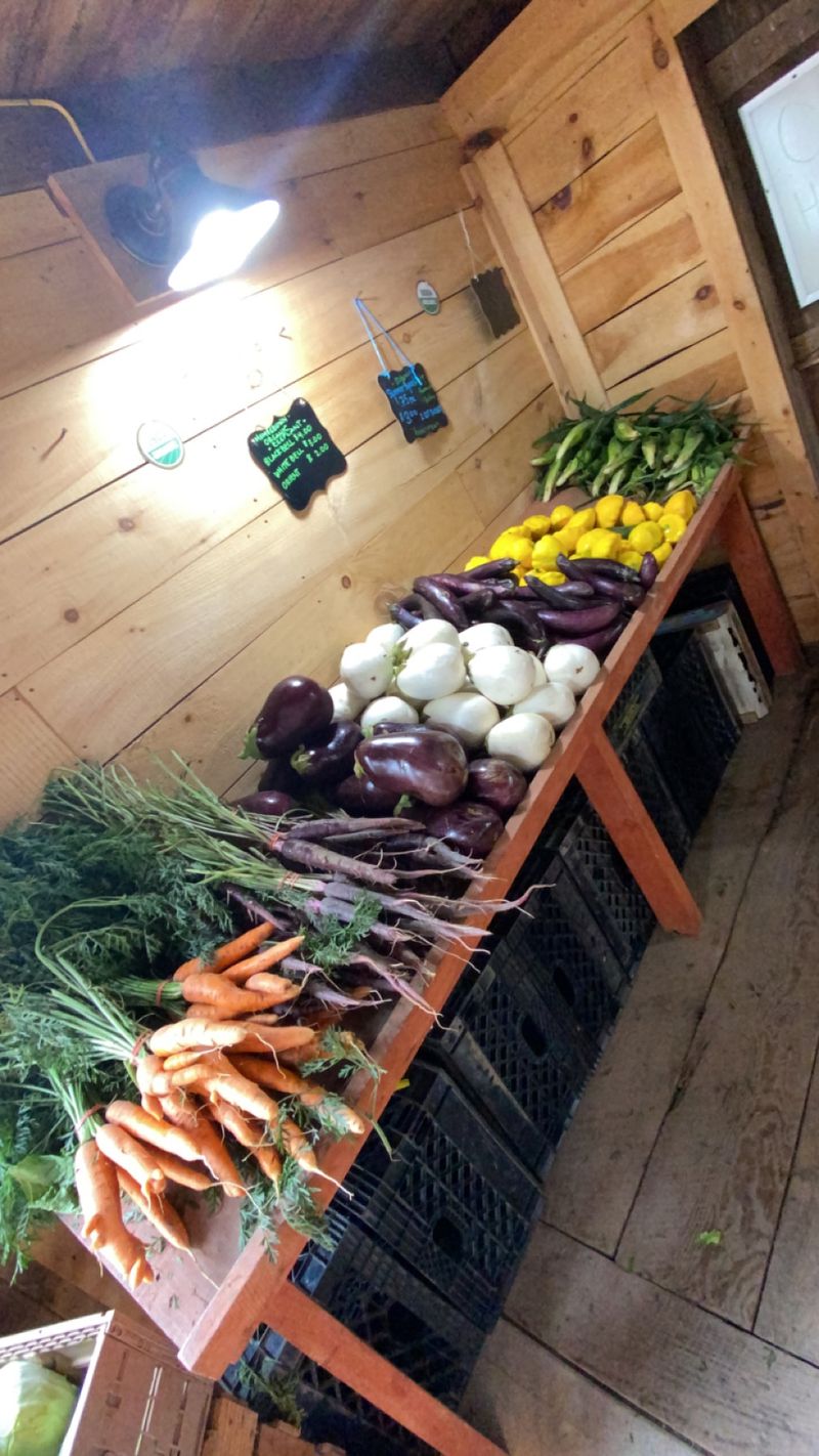 Stoneledge Farm Store - Leeds