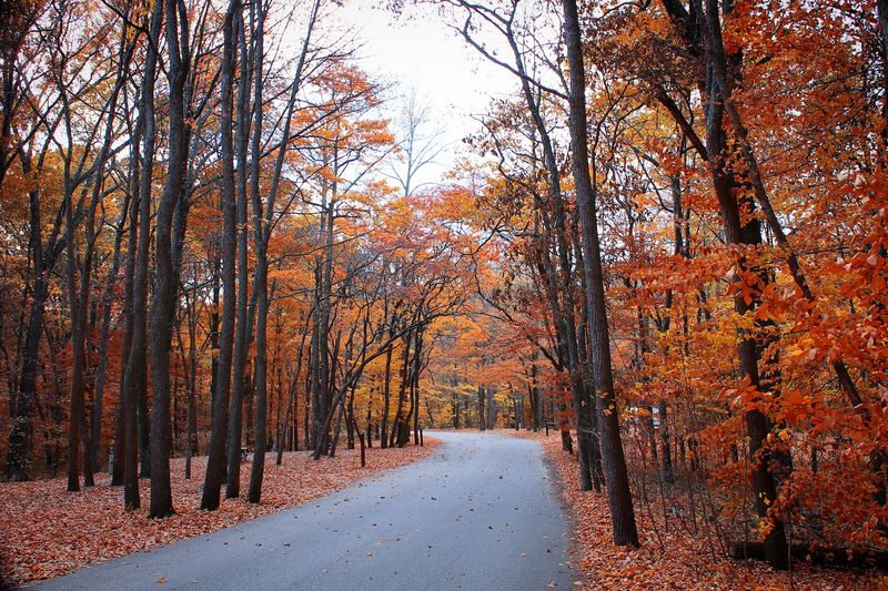 Why Late October Steals The Show