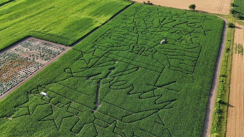 Daylight Brings A Patriotic Puzzle Across Nine Acres