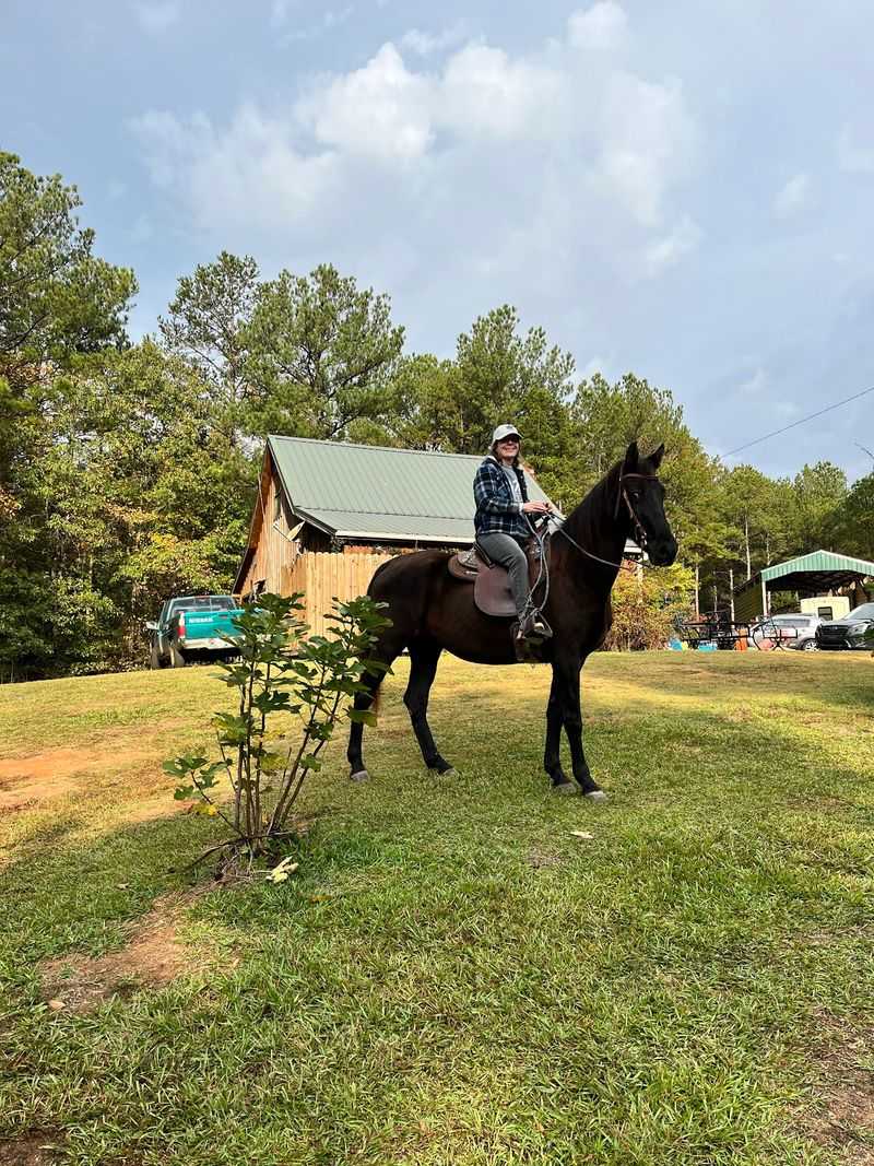 Horses That Get Top-Notch Care