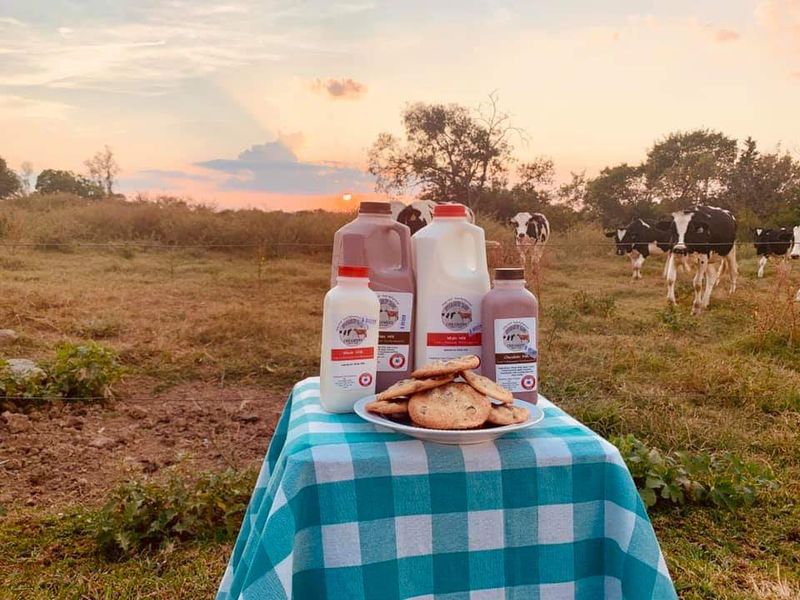 Old-Fashioned Milk With A Cream Line