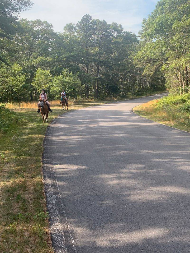 Lessons For Riders Who Catch The Horse Bug