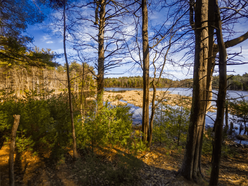 Hood Pond At Willowdale State Forest