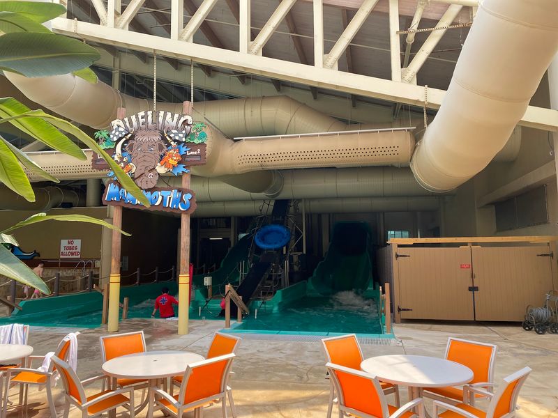 Your Whole Family Can Ride Paradise Falls Together