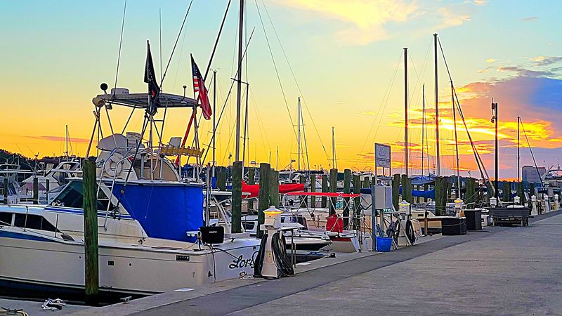 Pelicans, Sunsets, and Views of Deer Island