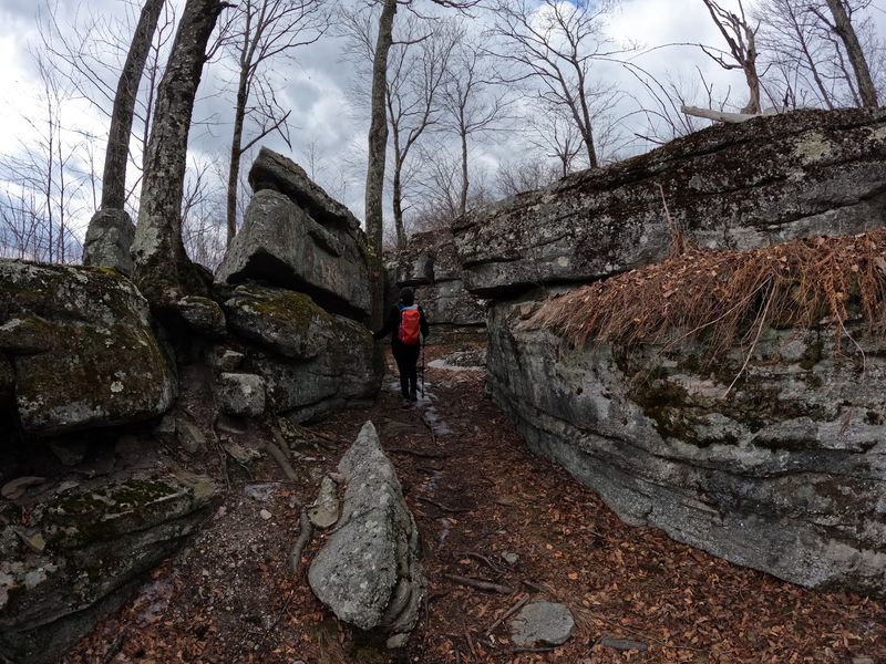 Camouflage Country At Shawangunk Ridge State Forest