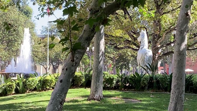 Game Day Here Comes With A White Horse