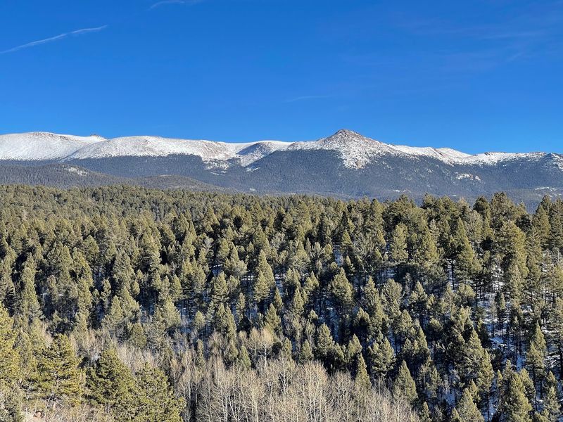 Winter Brings A Whole New Park