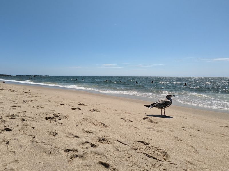 Craigville Beach, Centerville