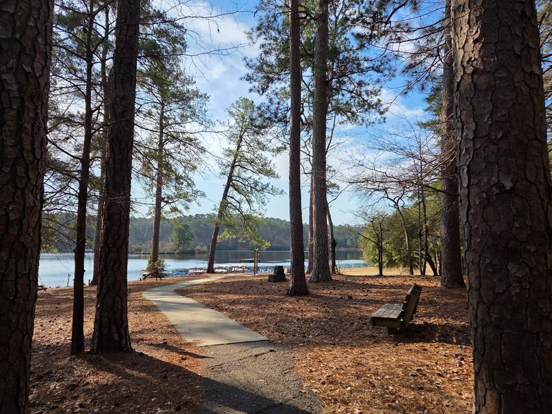 Pitch A Tent Under Those Changing Treetops