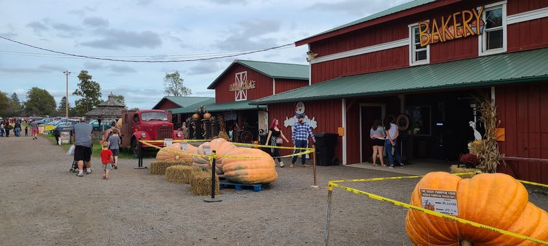 Hayrides, Trains, And Bouncing Fun