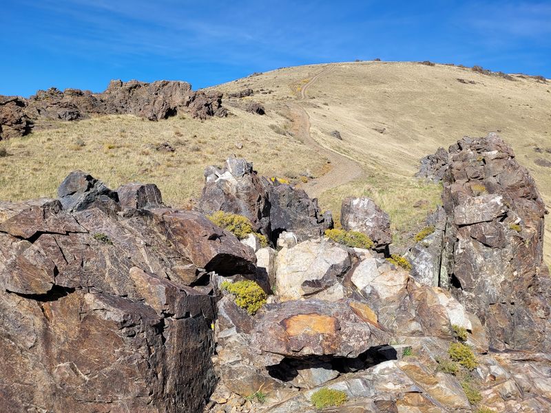 Rocks, Ridges, And Pronghorns Steal Some Attention