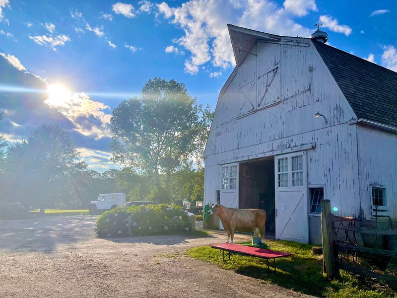 Fish Family Farm Creamery