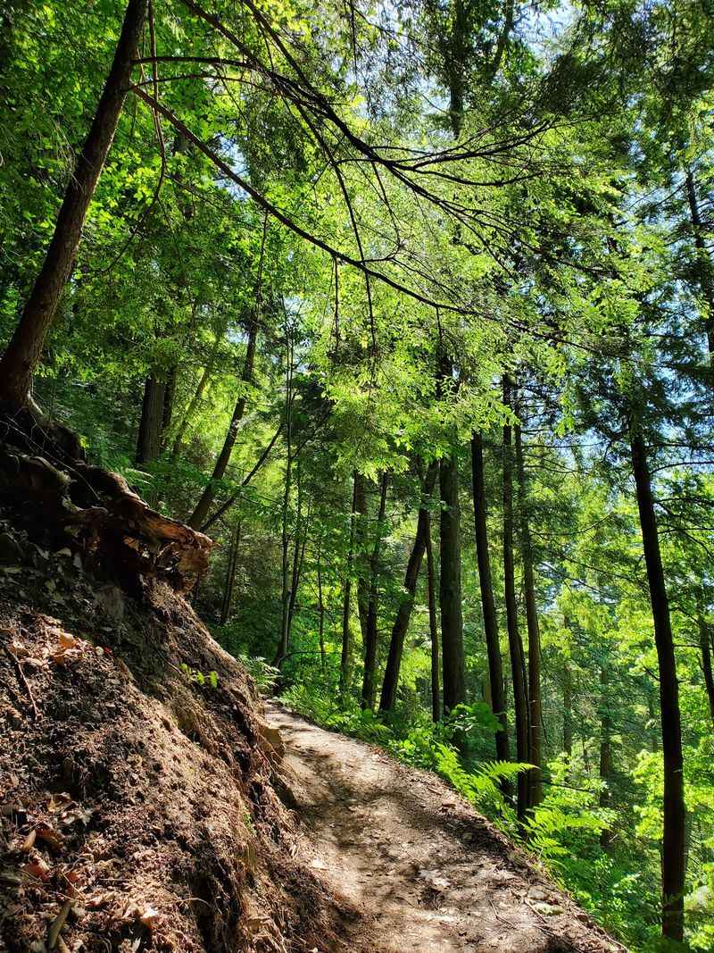 Gorge Overlook Trail and Its Steep Start
