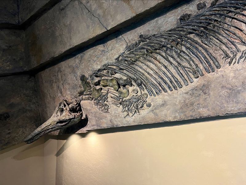 Walking Through an Ancient Devonian Sea