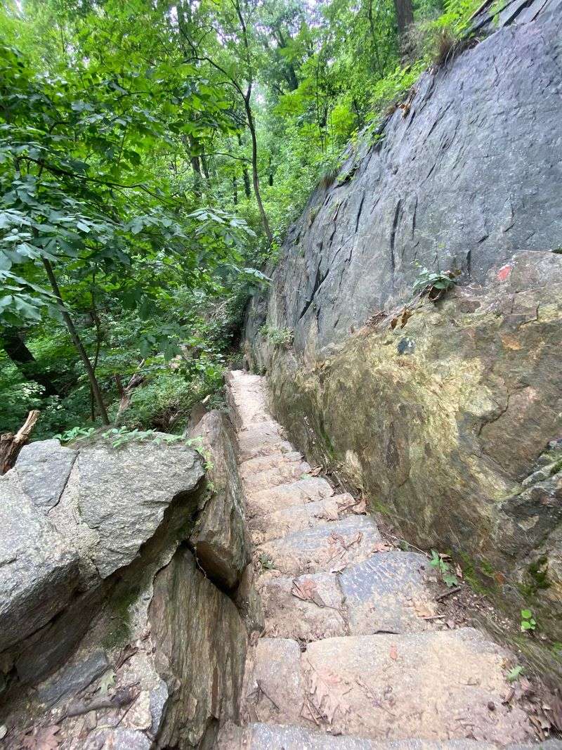 Lace Up Your Sneakers Because These Trails Mean Business