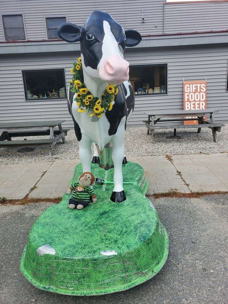 Thank The Jersey Cows For All That Rich Flavor