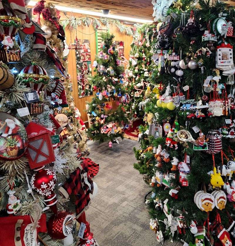 Forever Christmas, Virginia City