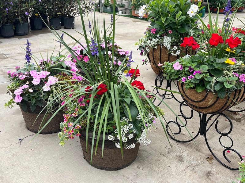 Rivers Greenhouse & Garden Inc