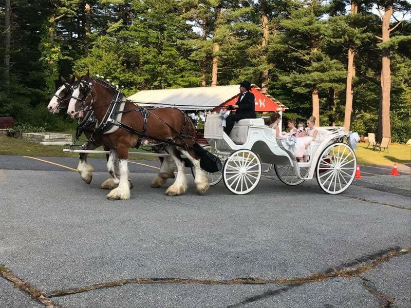 Hoofbeats On A Quiet South Shore Back Road