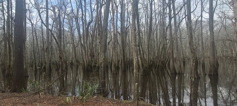 Hillside National Wildlife Refuge
