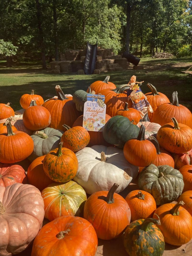 Cove Creek Farm