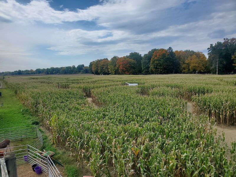 Mike's Maze