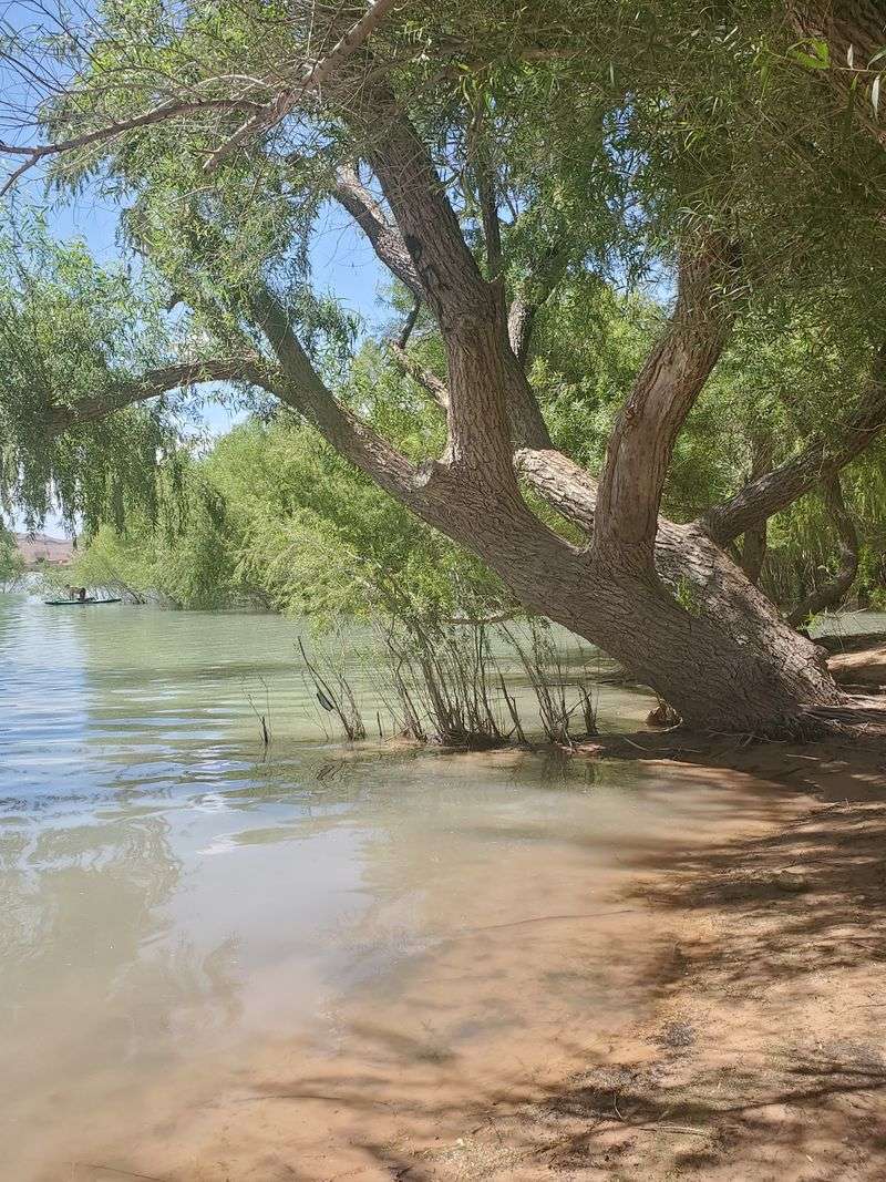 Bowman Reservoir