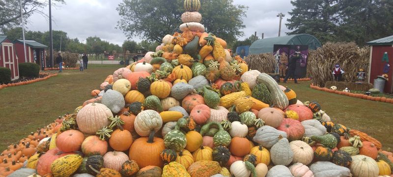 Pumpkins In Every Shape, Size, And Color