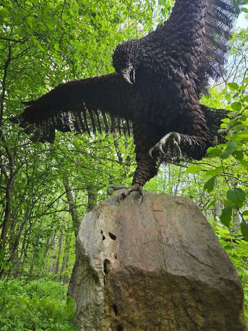 Where Birds Of Prey Rule