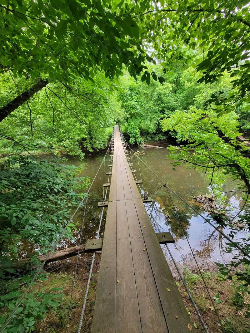 You Will Grin Like A Kid On This Swaying Bridge