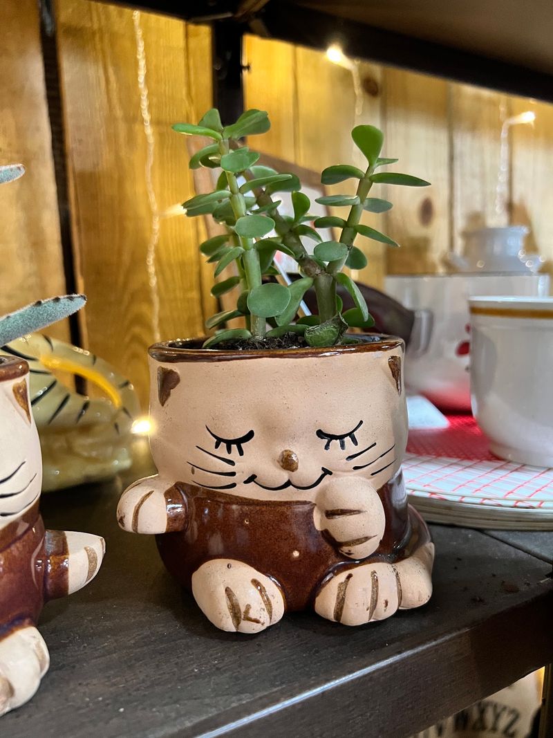 Bobbleheads, Buttons, And Other Delightful Oddities