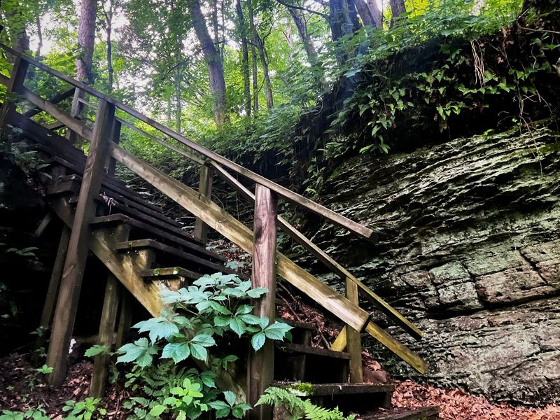 Rocky Arbor State Park