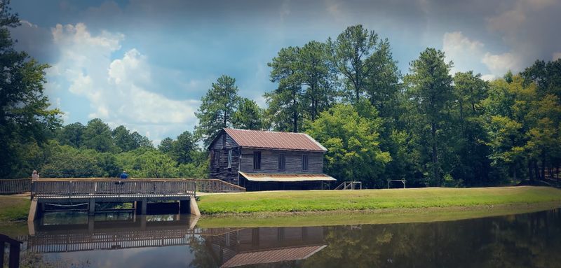 Primitive Camping Under Mississippi Stars