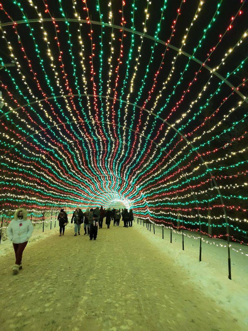 A 500-Foot Light Tunnel Will Make You Forget It's Cold