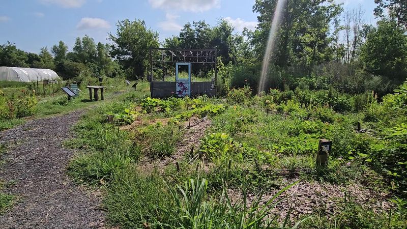 Mississippi Delta Nature and Learning Center, Greenville, MS