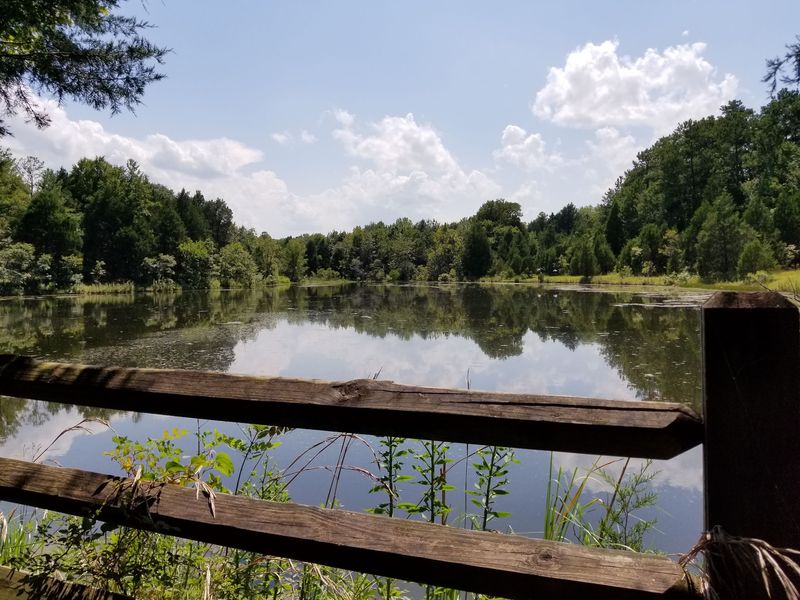 Plymouth Bluff Environmental Center, Columbus, MS