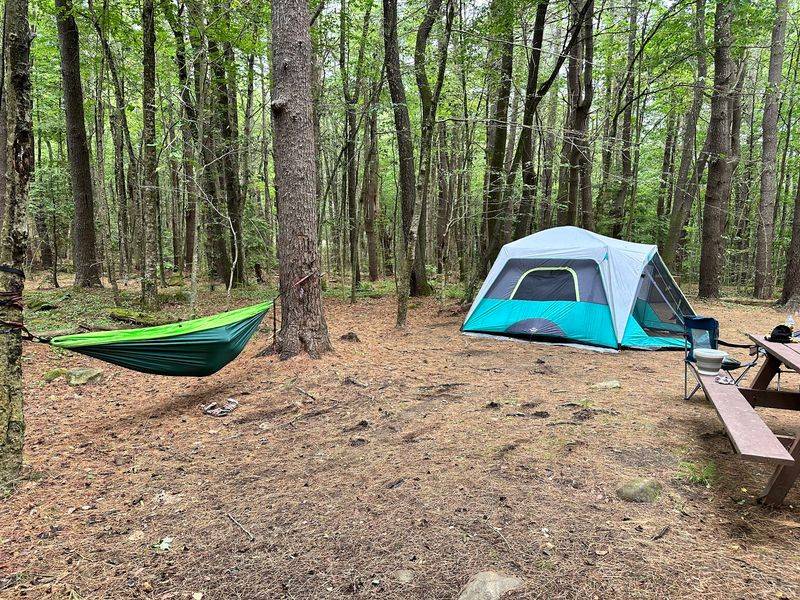 Tolland State Forest Campground