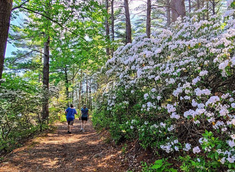 Maudslay State Park, Newburyport, MA